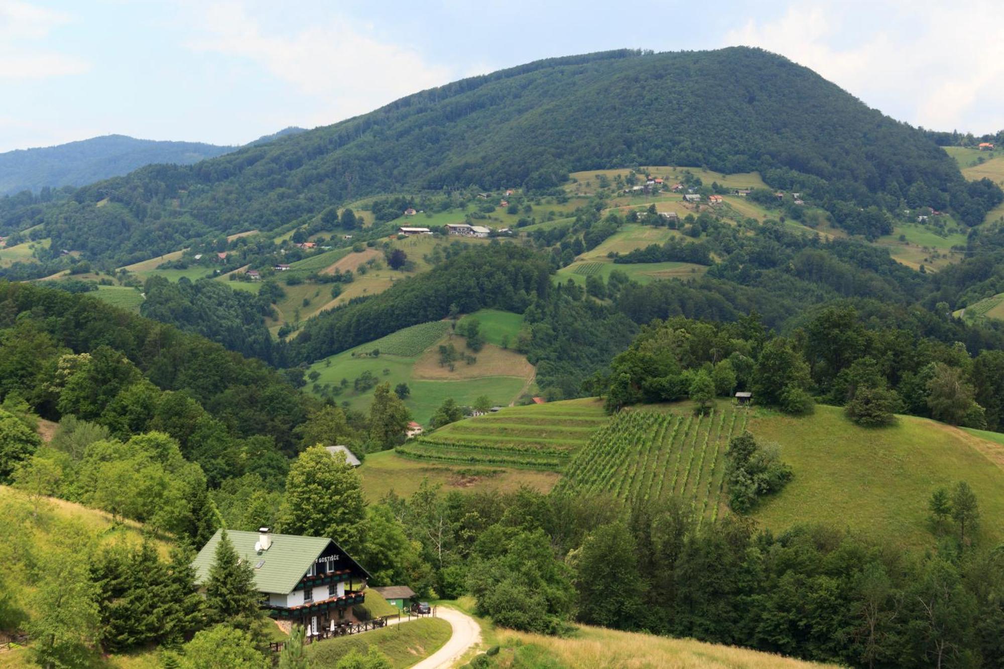 Pod Orehi Guest House Loče pri Poljčanah エクステリア 写真
