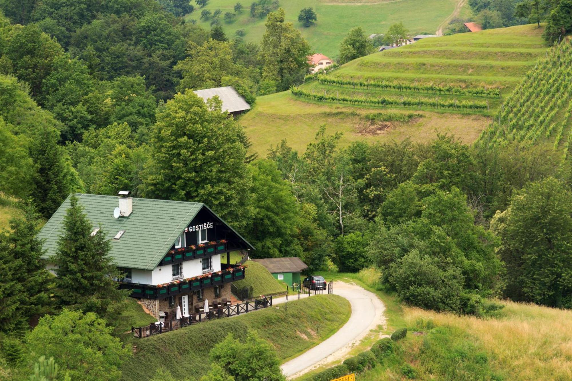 Pod Orehi Guest House Loče pri Poljčanah エクステリア 写真