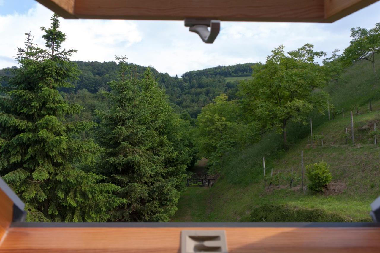 Pod Orehi Guest House Loče pri Poljčanah 部屋 写真